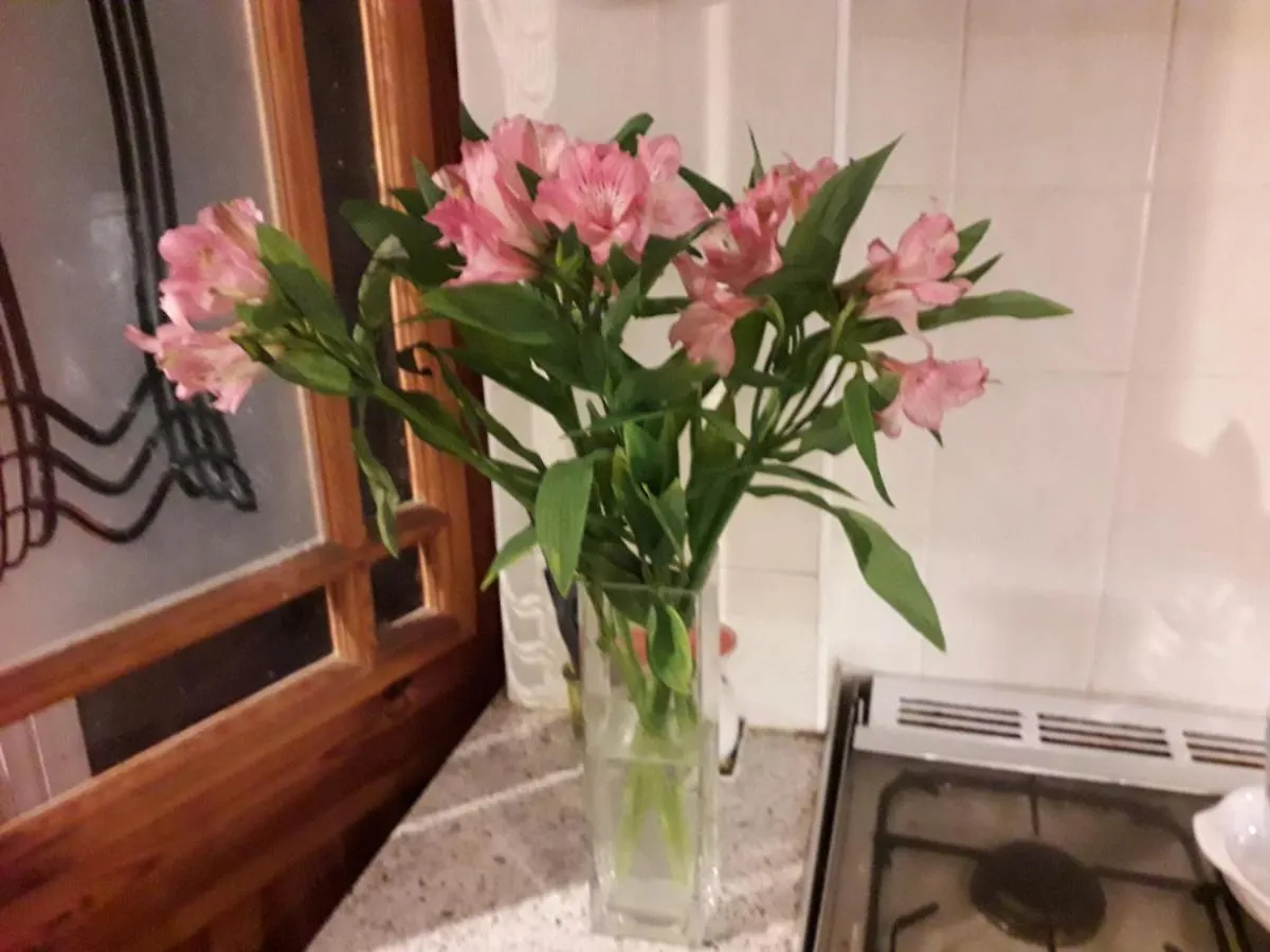 Homestay Home From Home Single Or Double Room Netflix Or Virgin Tv Wifi & Free Parking Poole United Kingdom